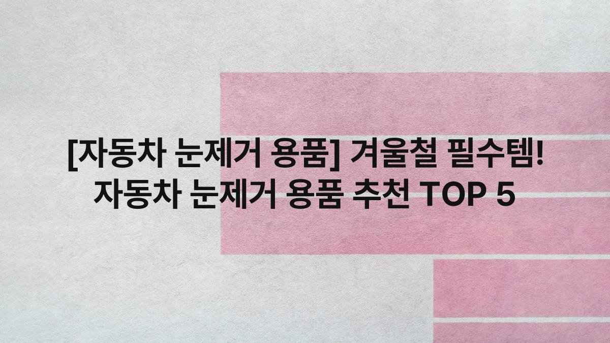 [자동차 눈제거 용품] 겨울철 필수템! 자동차 눈제거 용품 추천 TOP 5