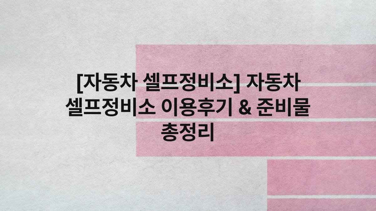 [자동차 셀프정비소] 자동차 셀프정비소 이용후기 & 준비물 총정리