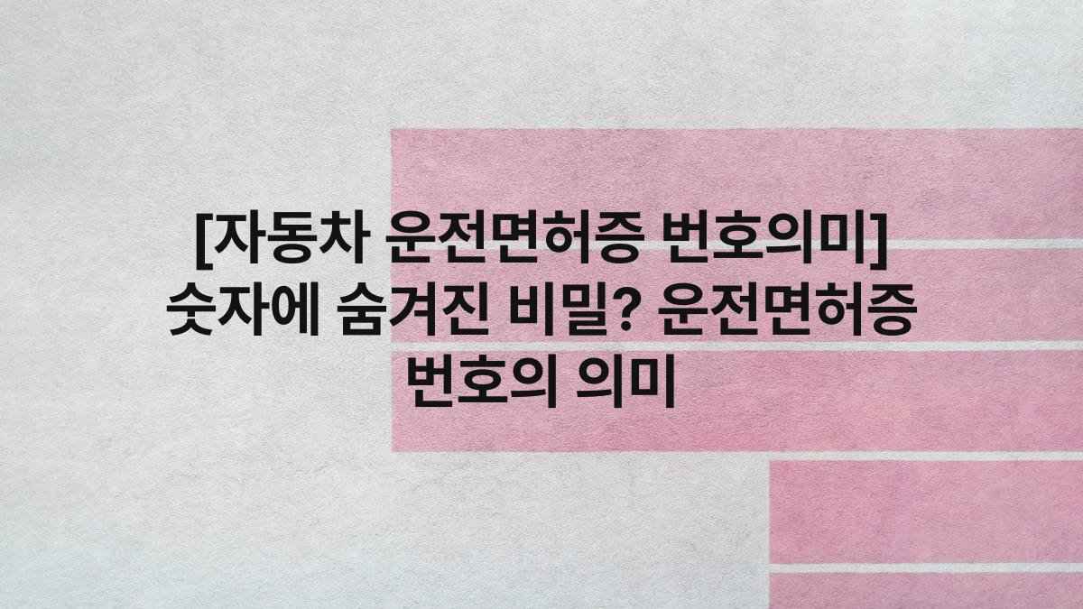 [자동차 운전면허증 번호의미] 숫자에 숨겨진 비밀? 운전면허증 번호의 의미