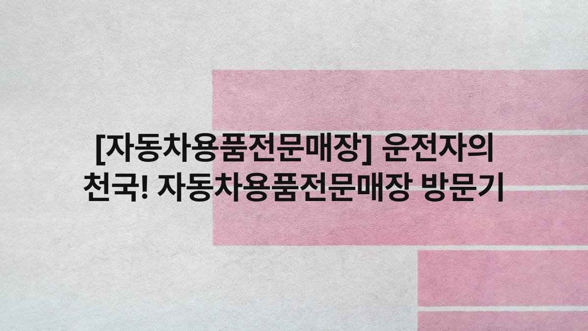 [자동차용품전문매장] 운전자의 천국! 자동차용품전문매장 방문기