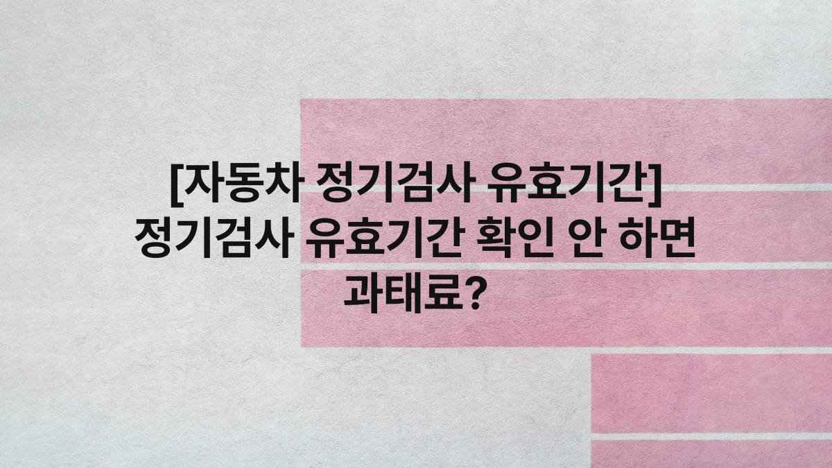 [자동차 정기검사 유효기간] 정기검사 유효기간 확인 안 하면 과태료?