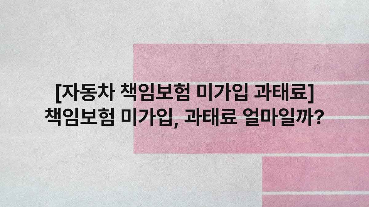 [자동차 책임보험 미가입 과태료] 책임보험 미가입, 과태료 얼마일까?