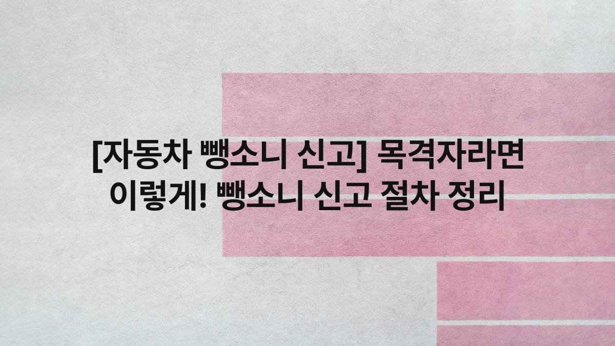 [자동차 뺑소니 신고] 목격자라면 이렇게! 뺑소니 신고 절차 정리